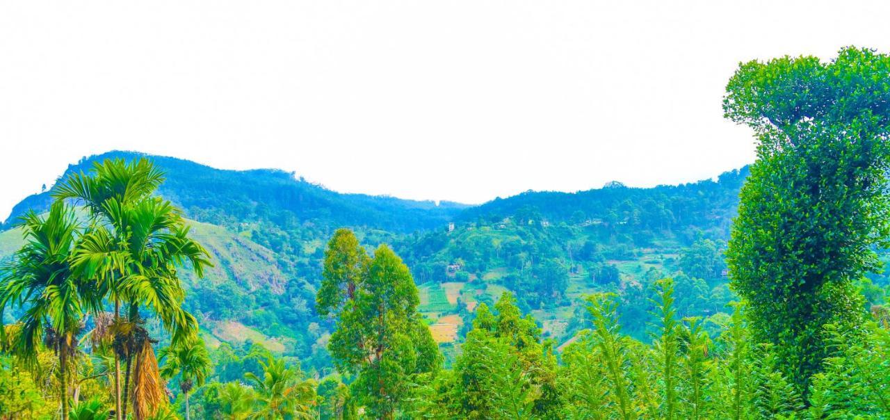 Homestay Galaxy View *
