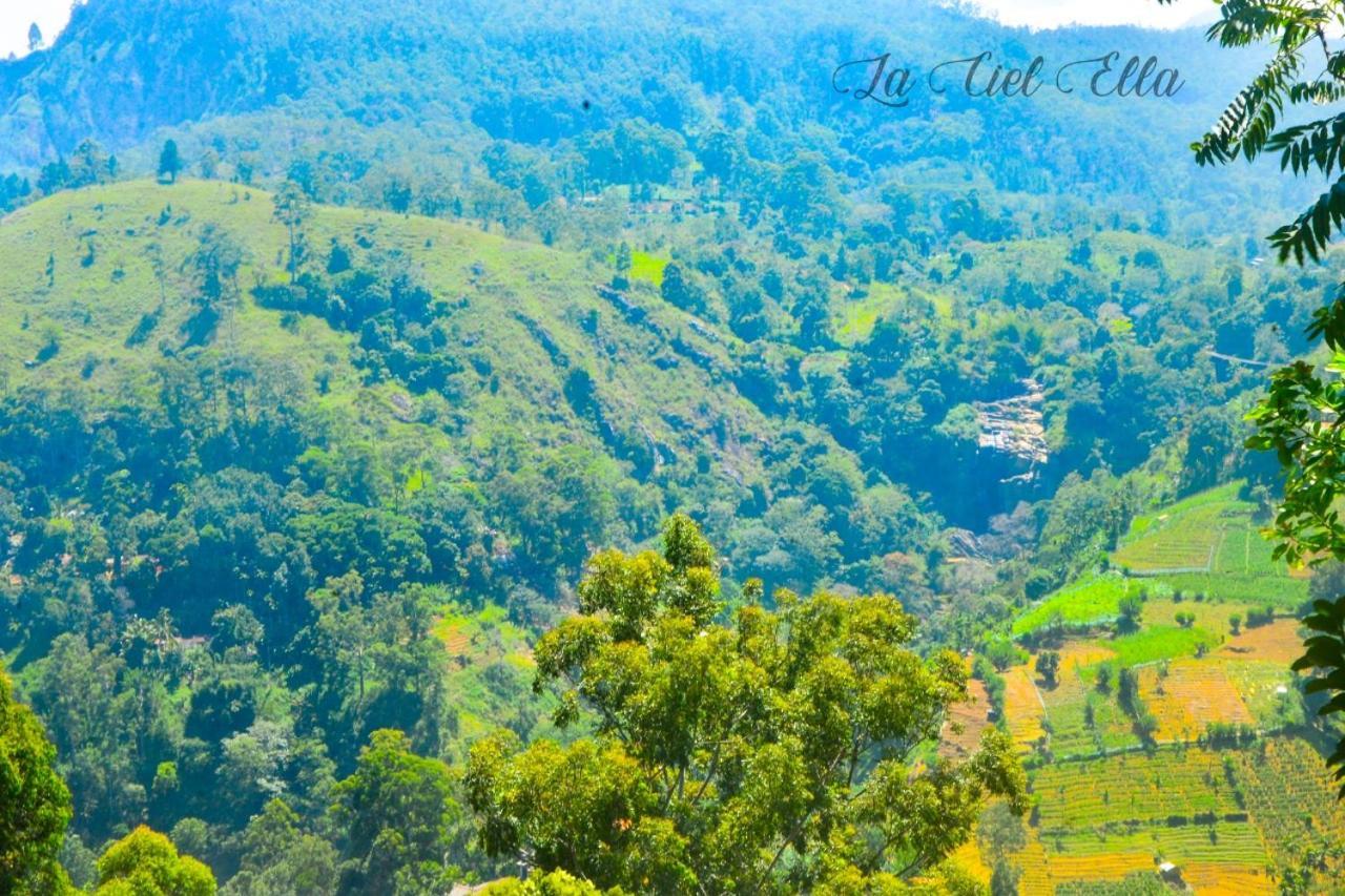 Homestay La Ciel