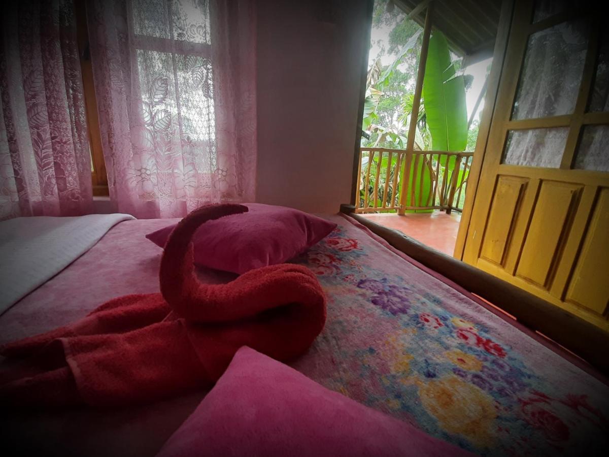 New View *