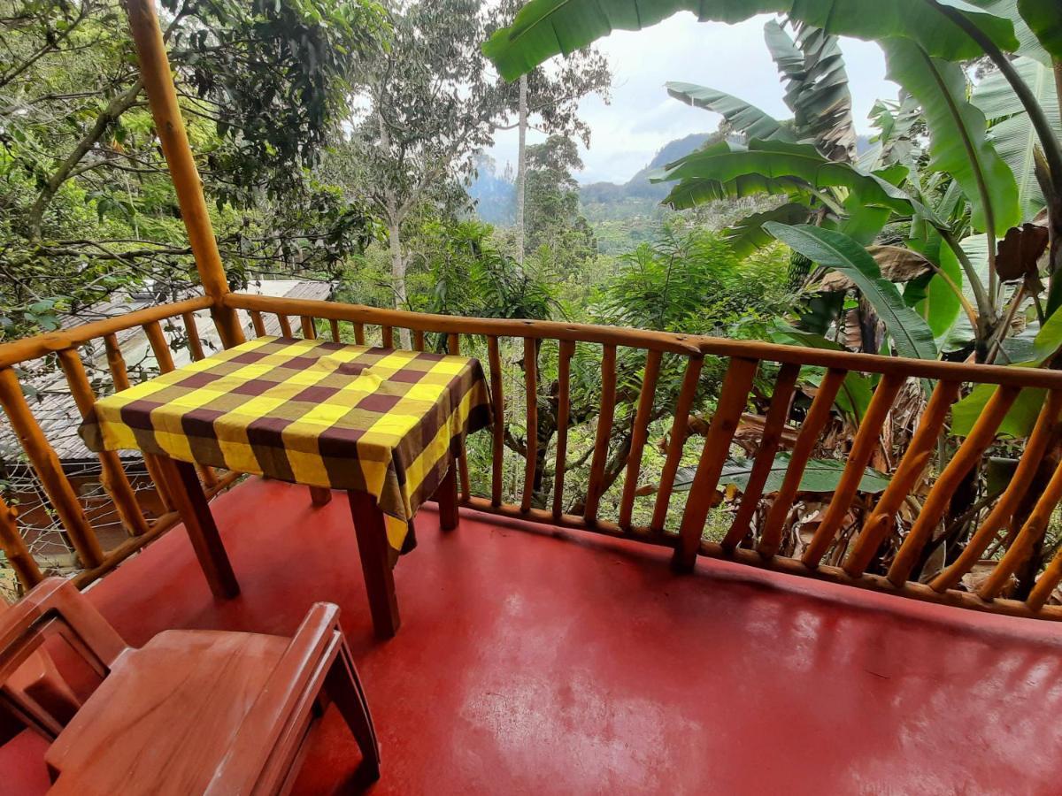 Lodge New View