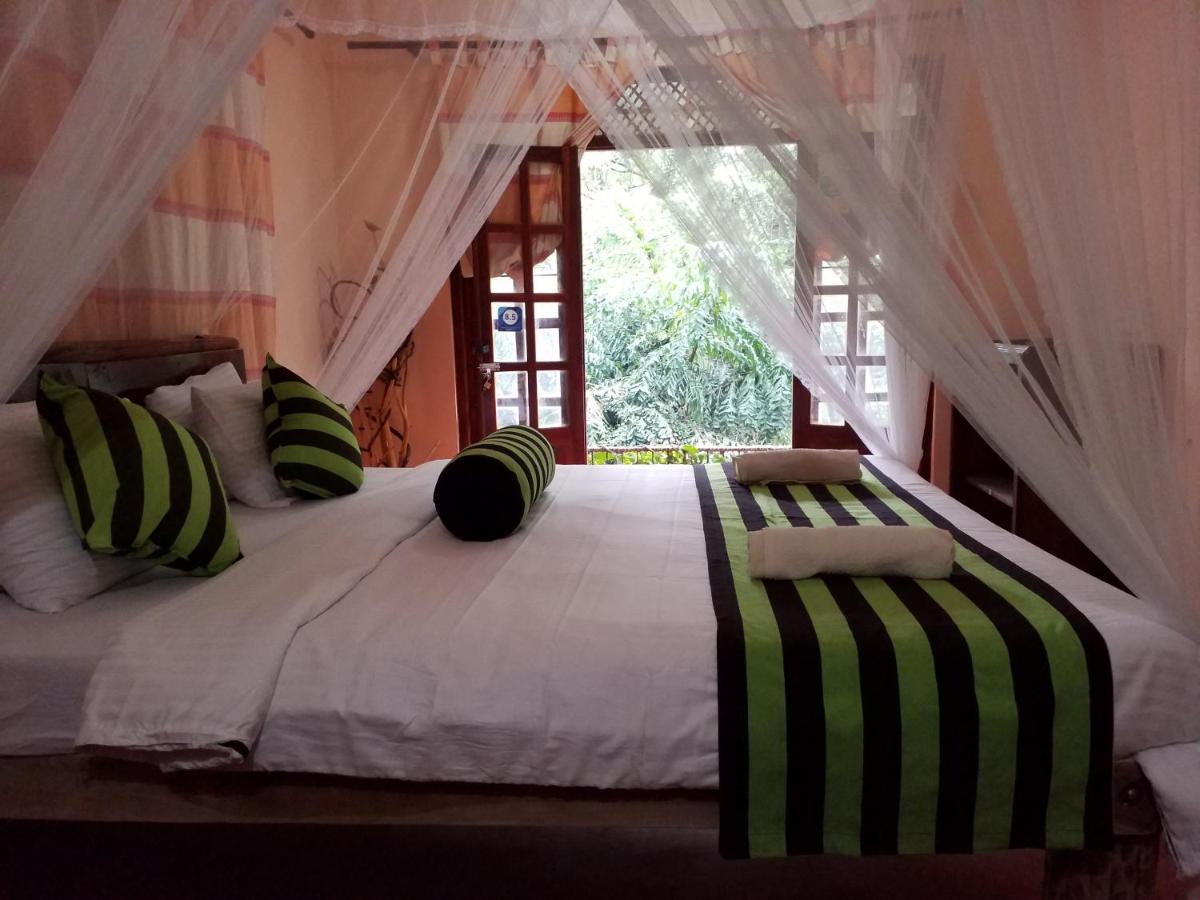 Ella Green Cottages 3*