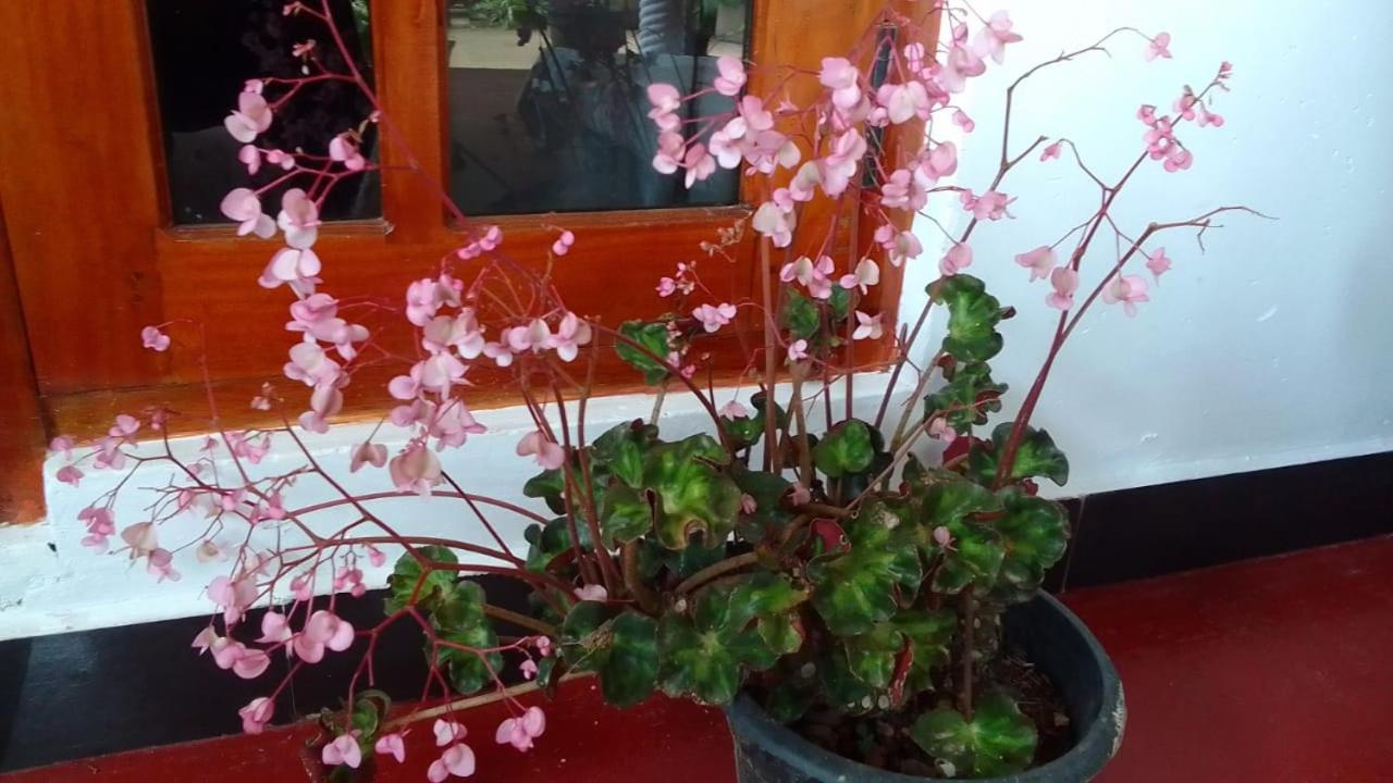 Secret Nest Homestay