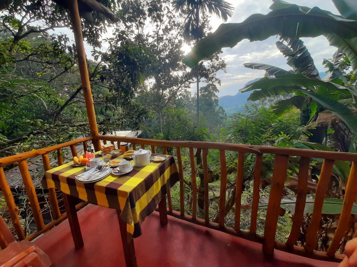 New View Guest house