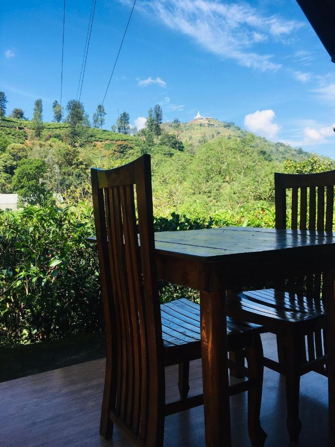 Wild Guest house *