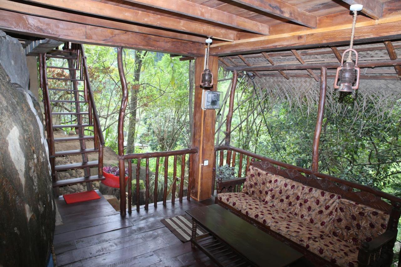 Bed & Breakfast Jungle Face *