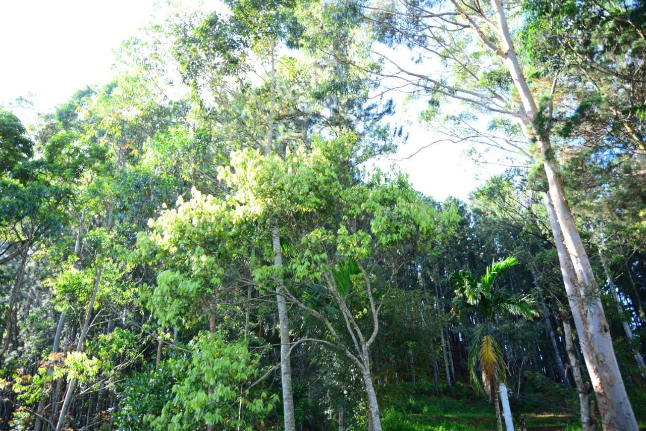 Guest house White Arcadia