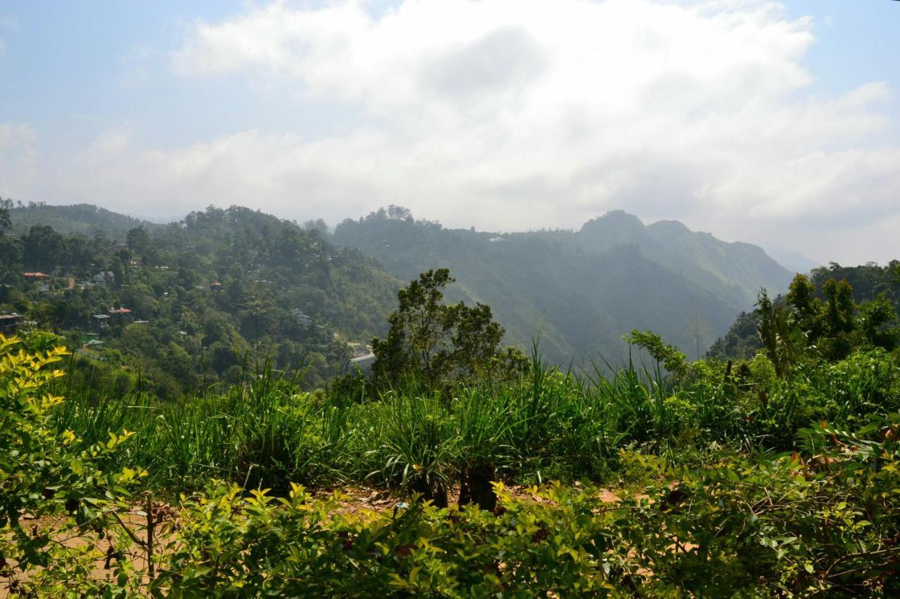 Infinity View Homestay *