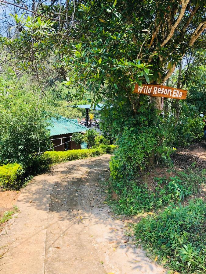 Guest house Wild *