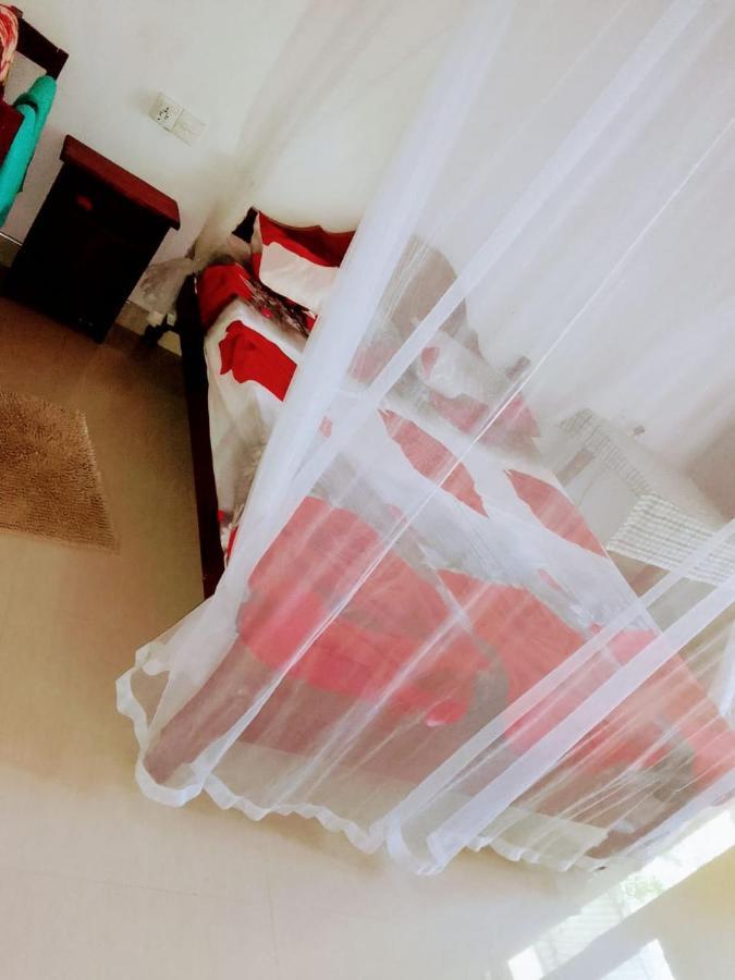 Homestay New Red Rose *