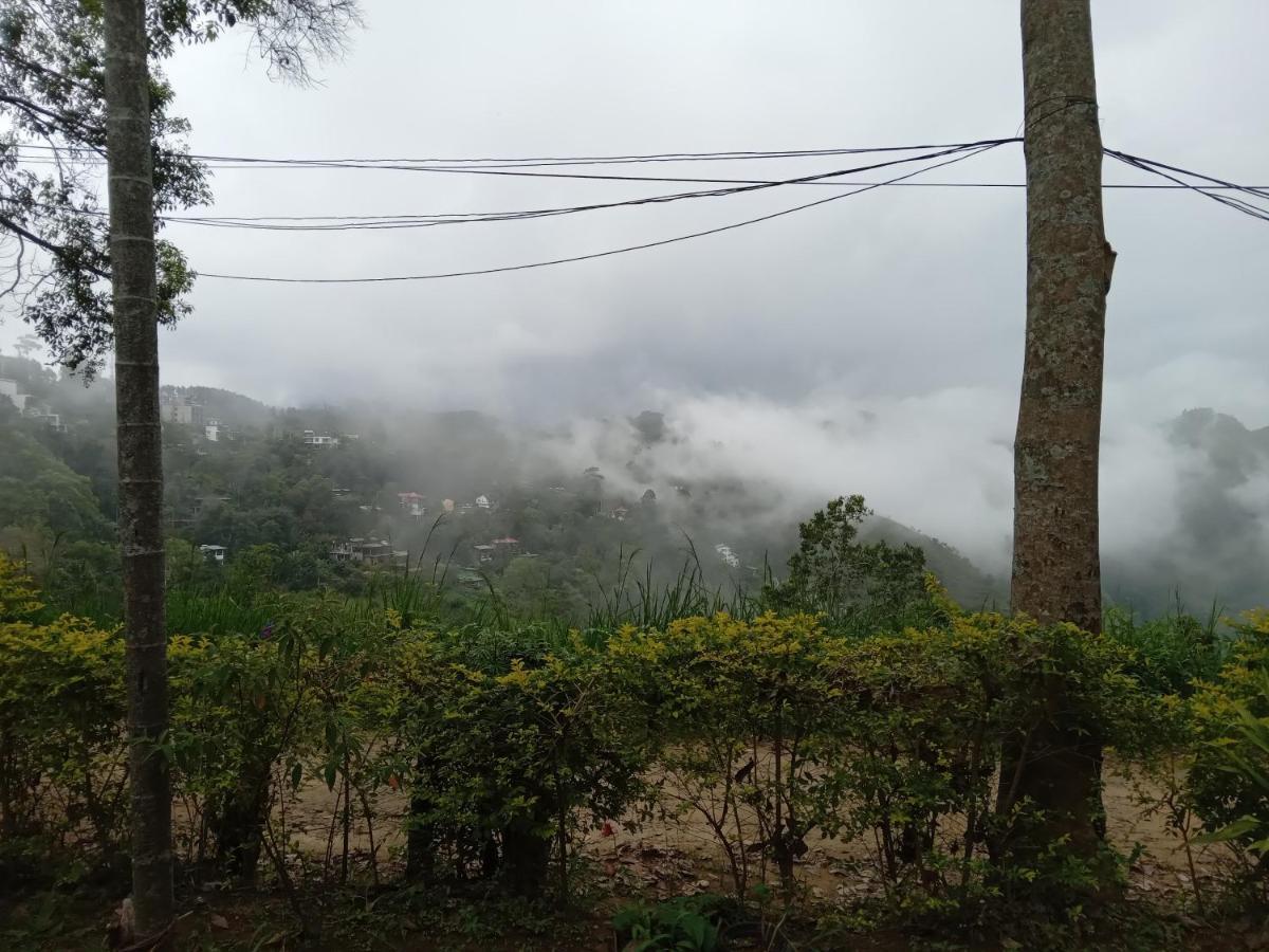 Infinity View Ella
