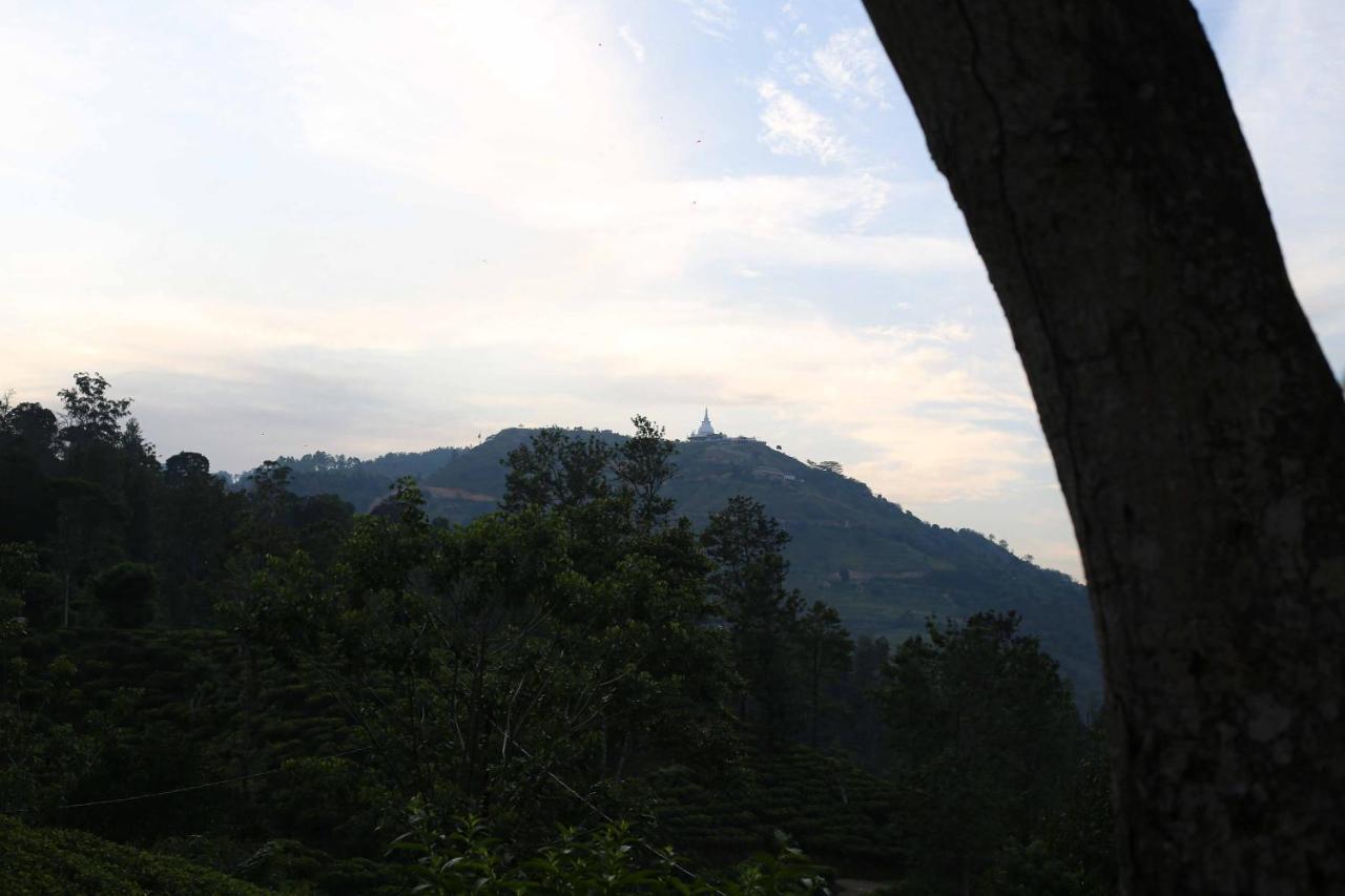 Private Only Homestay