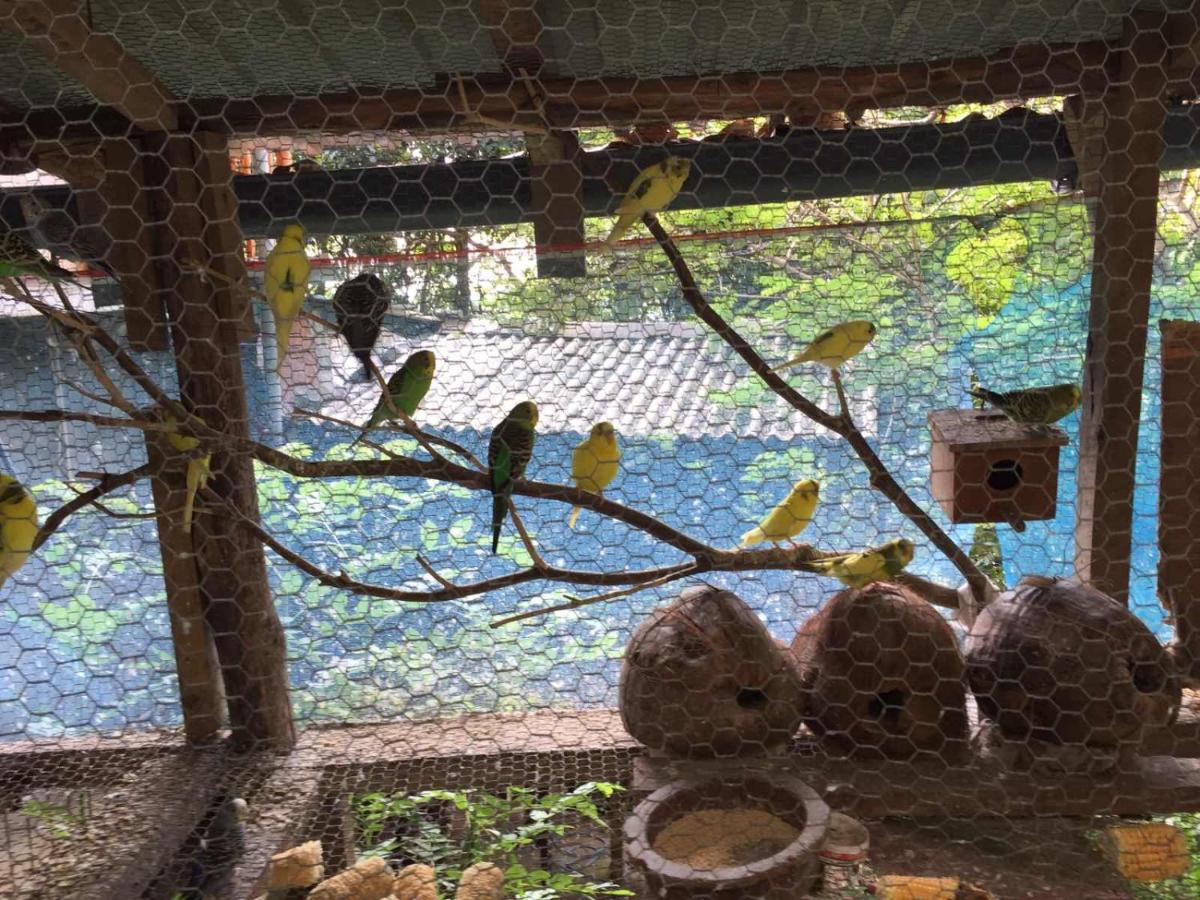 Homestay Nature Nest *