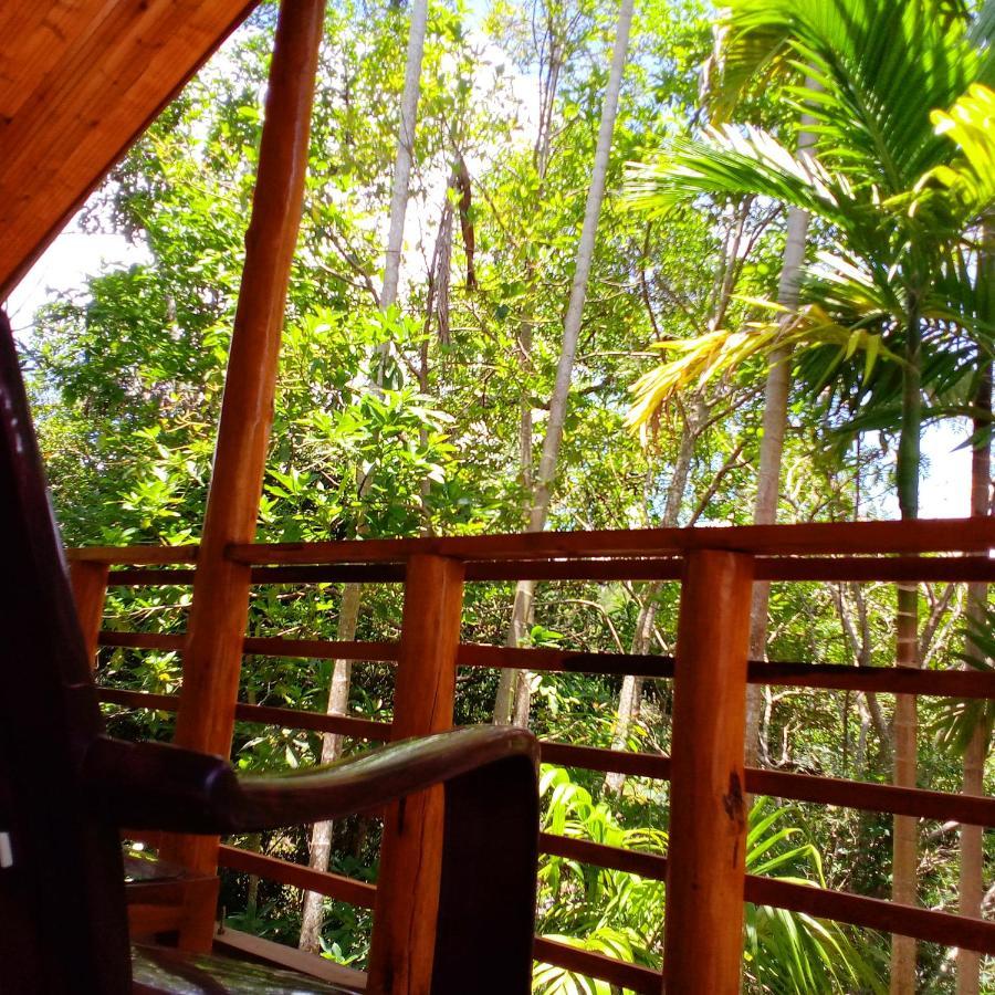 Guest house Walkers Nest *