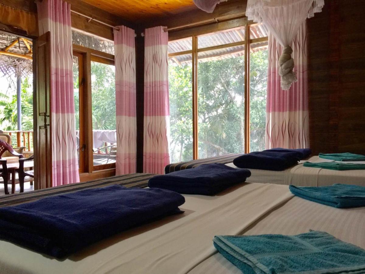 Homestay Nature Nest Ella