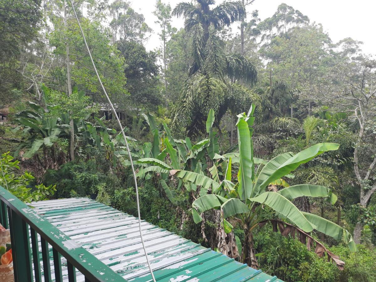 Homestay Silent Oasis Ella