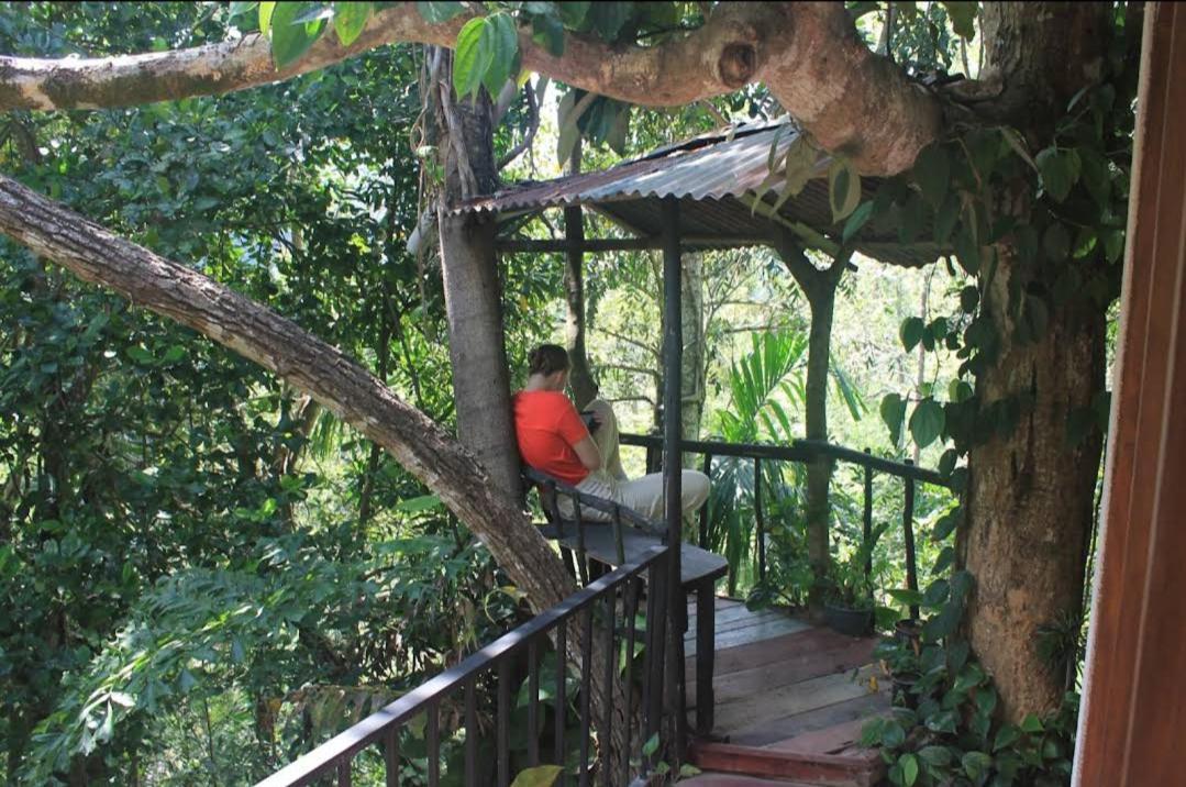 Pepper Garden