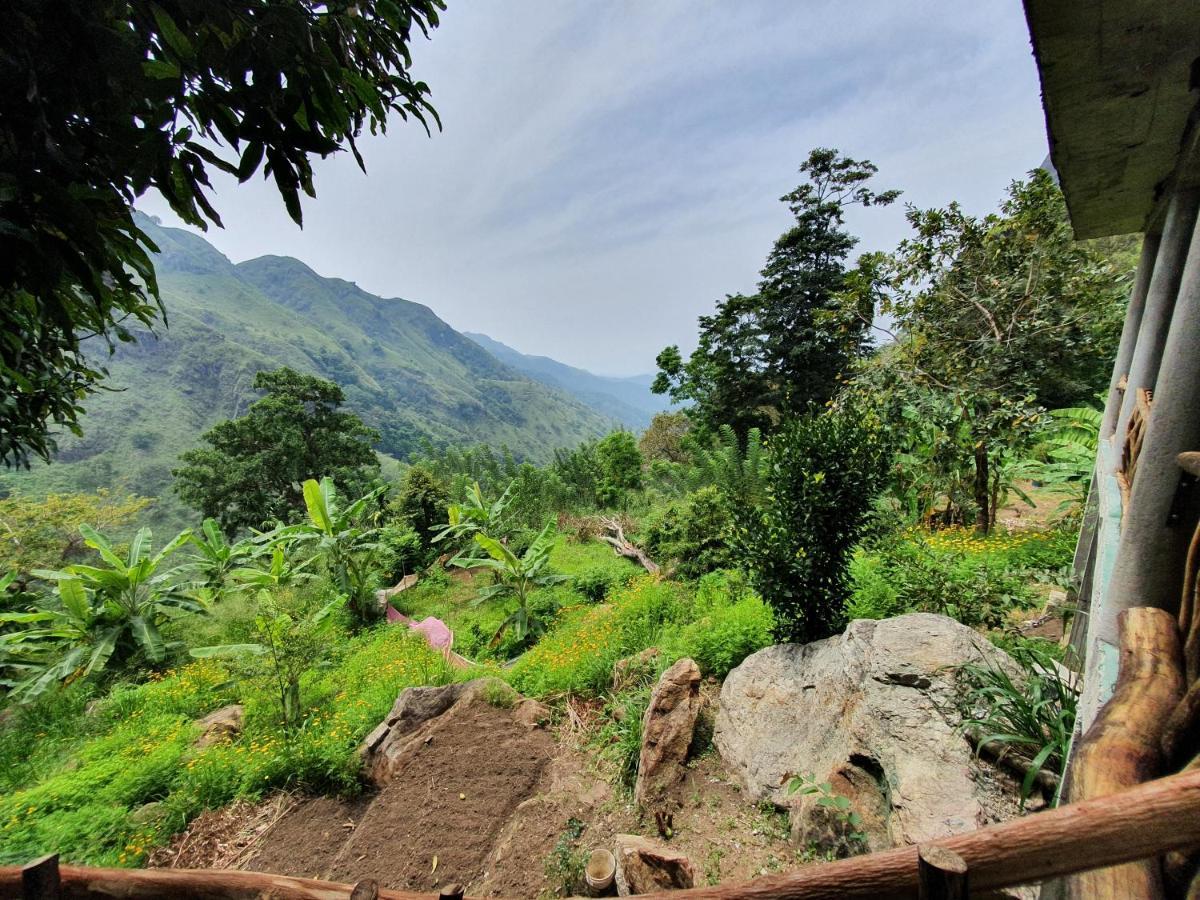 Guest house Nature On Rock