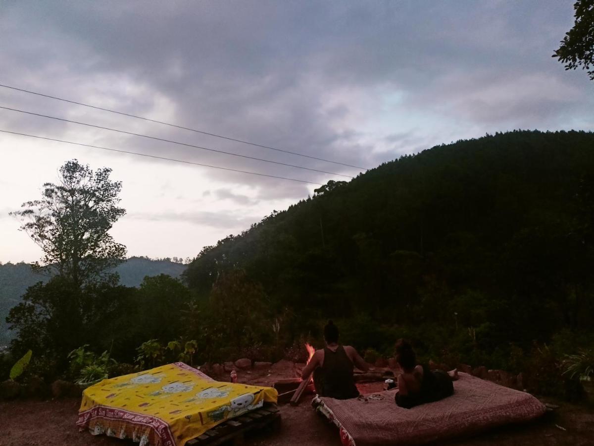 Freedom Camp