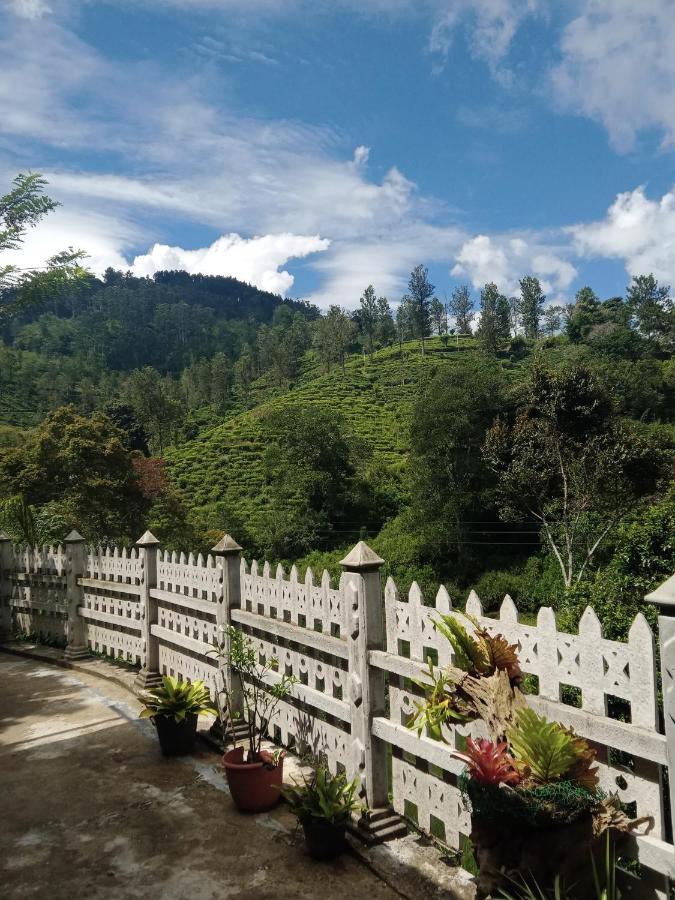 Homestay Village Nest *