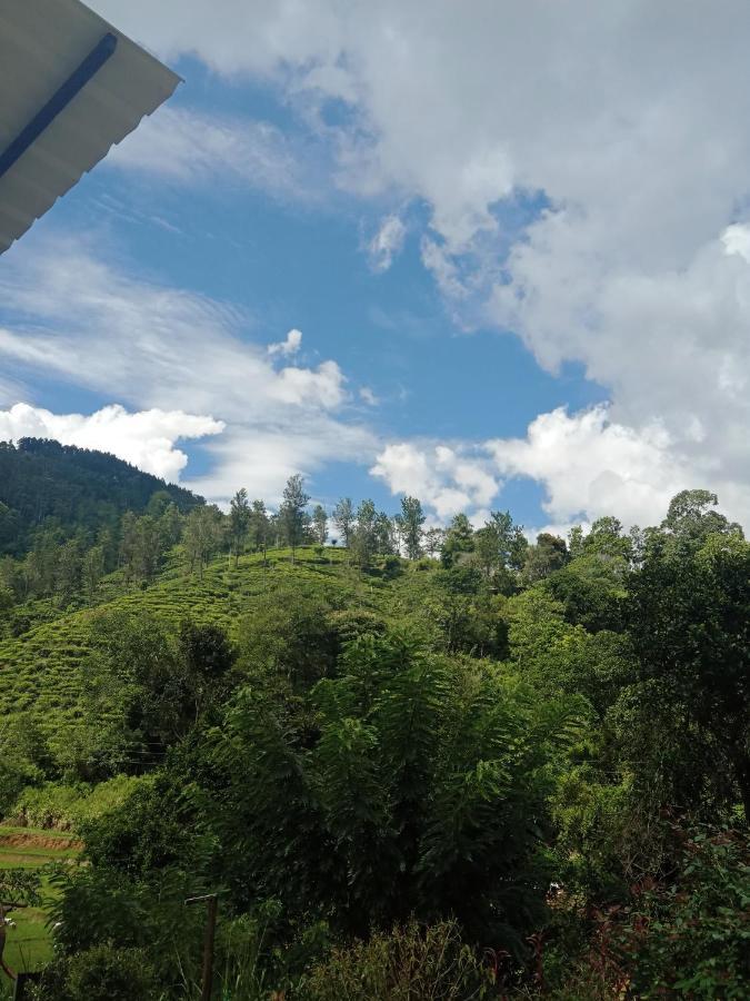 Village Nest Homestay