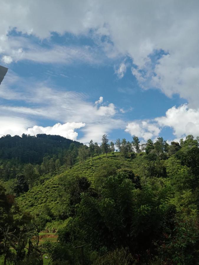 Village Nest Homestay *