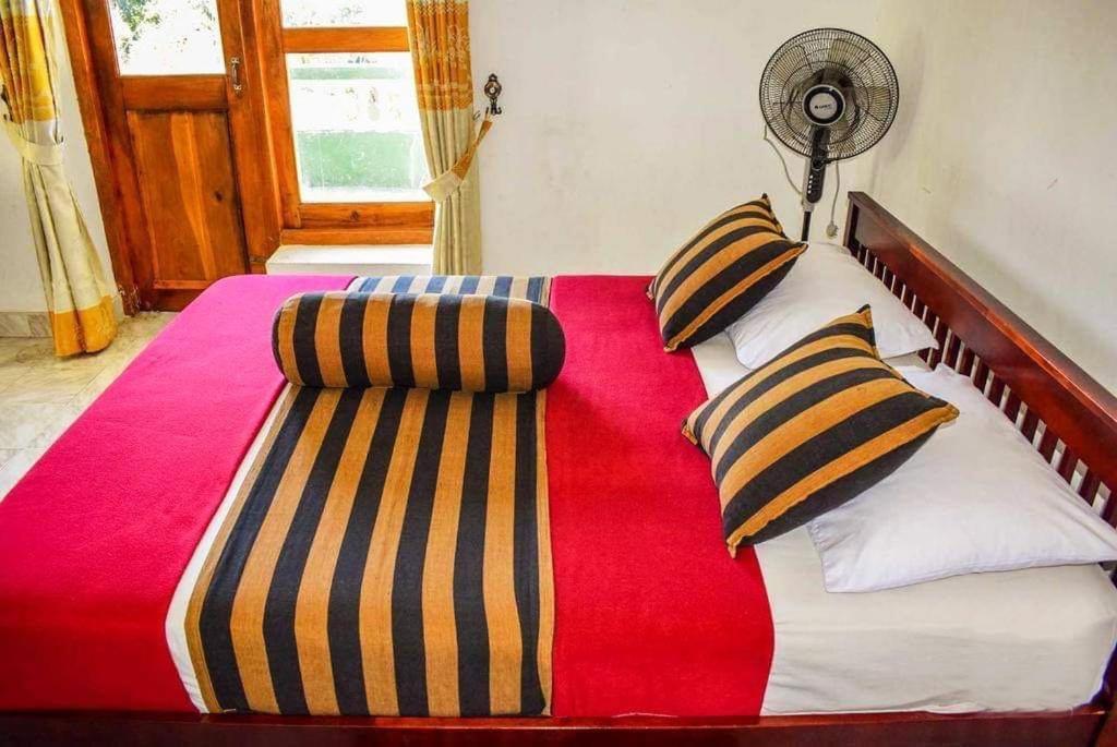Rock View Hostel *
