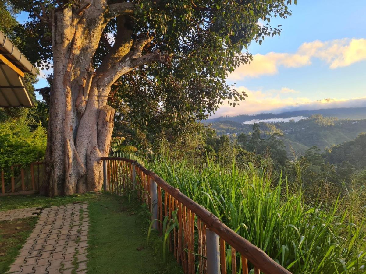 Rainbow Sky Homestay Ella