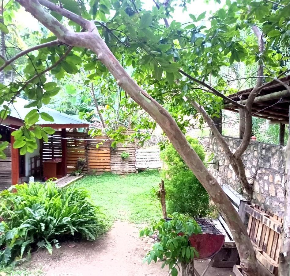 Foret Guest house *
