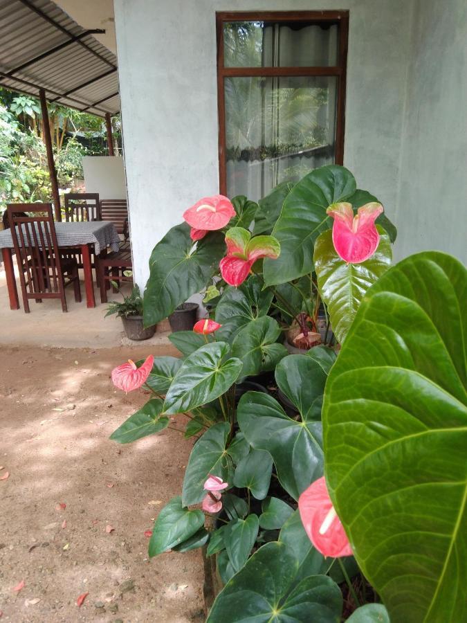 Homestay Quiet Rest