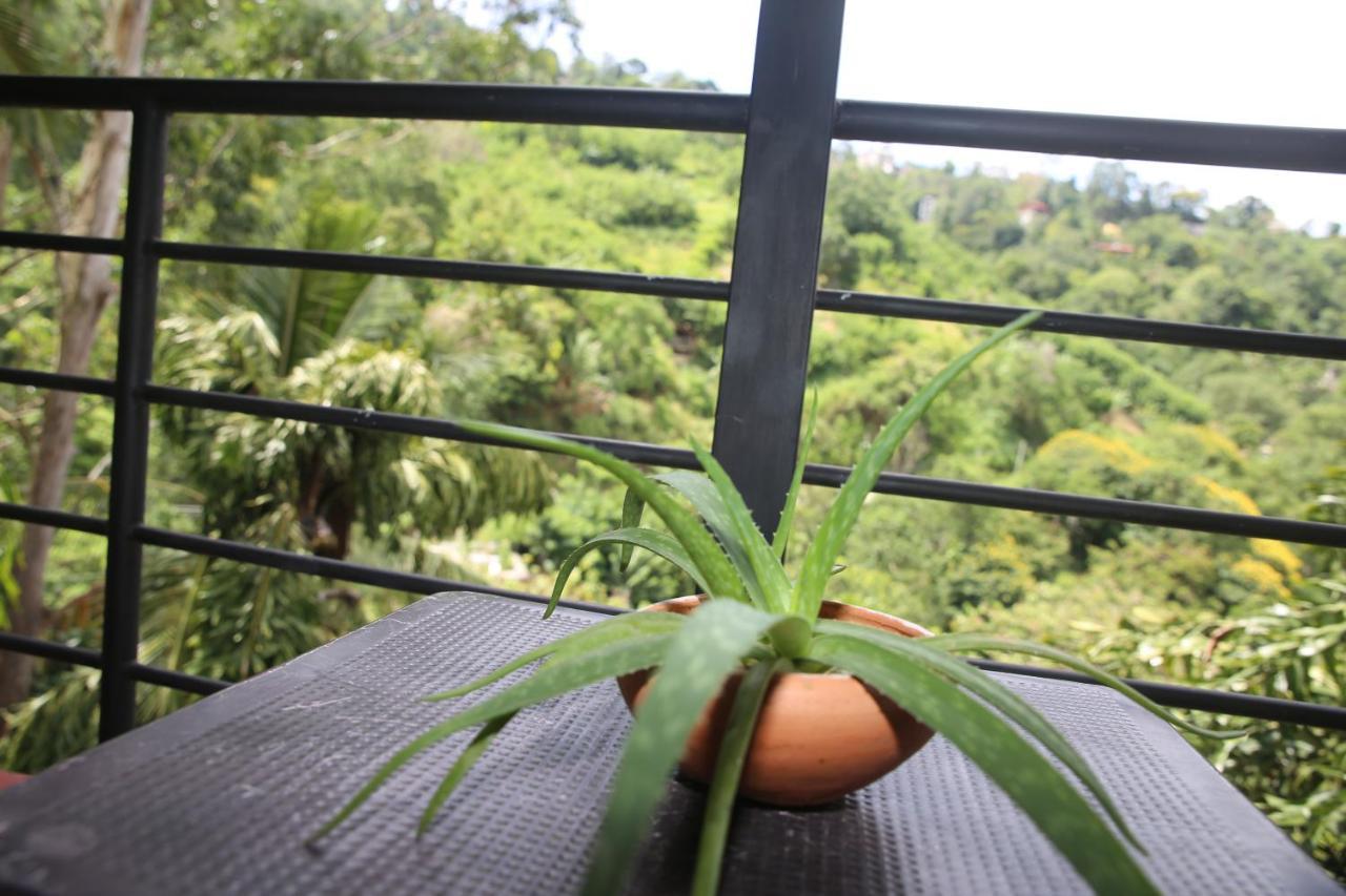 Rawana Mountain View *