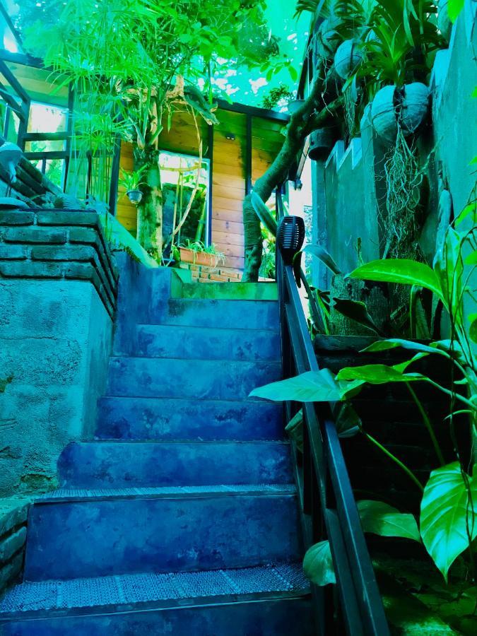 Hide View *