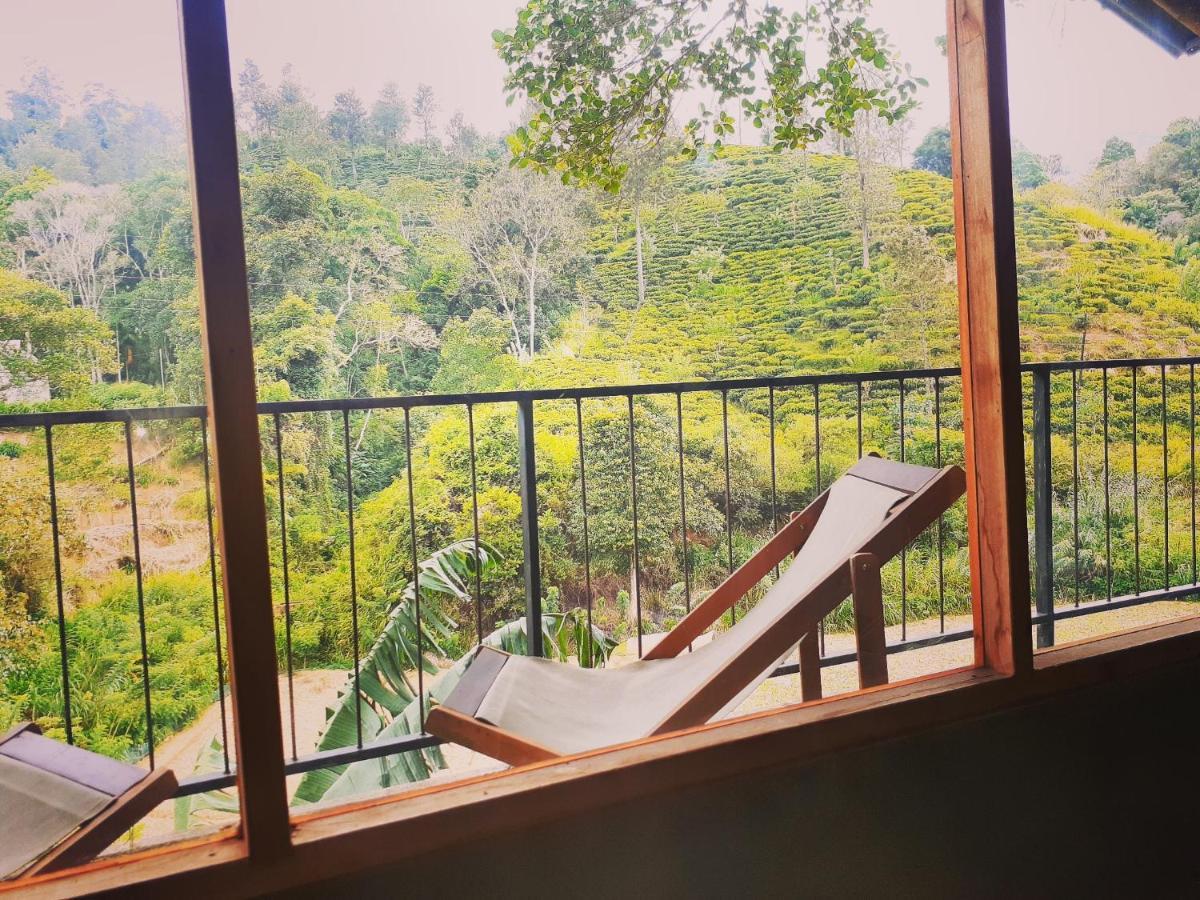 Ayubo - Lodge