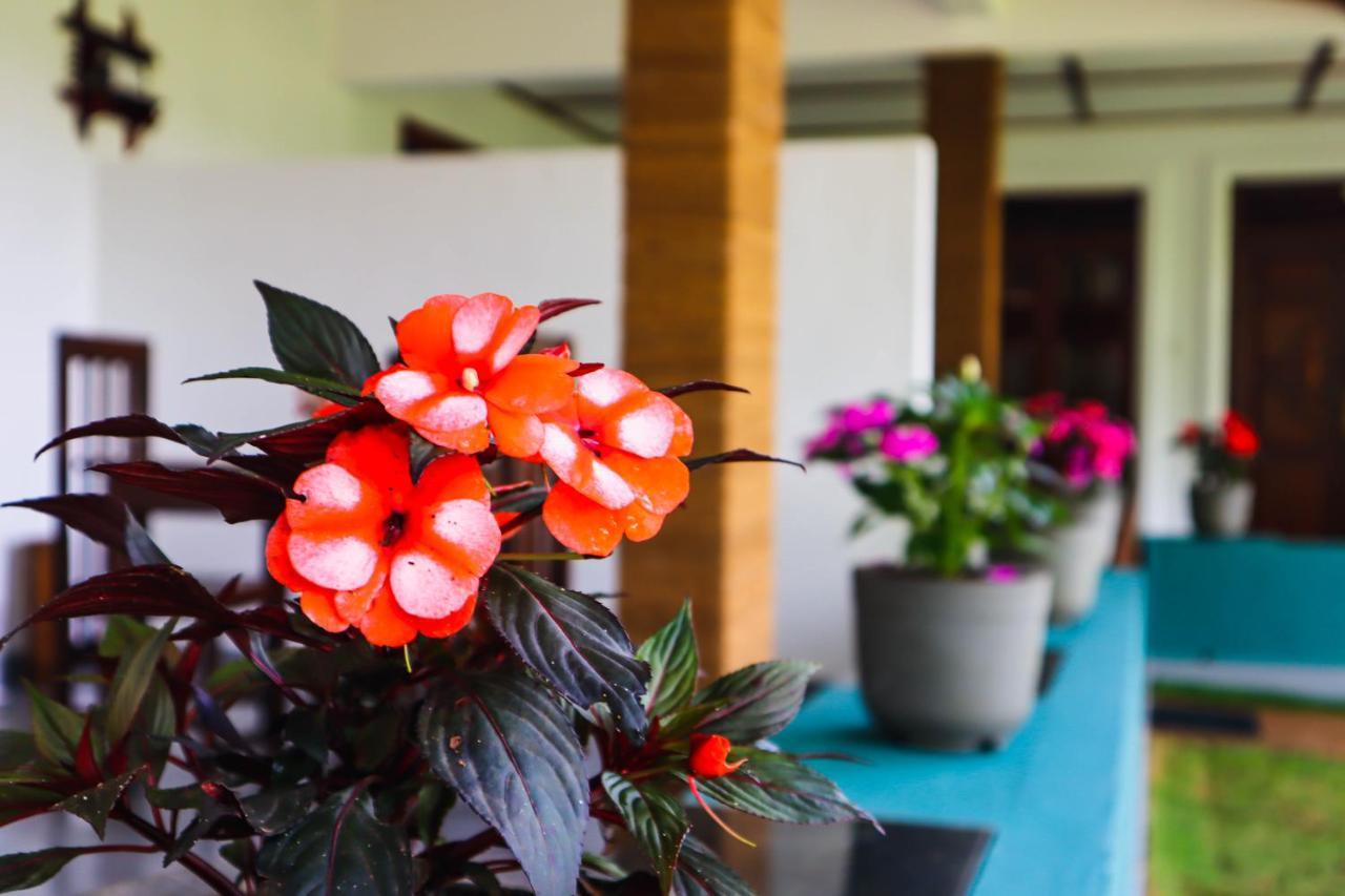 Nature Walk Homestay