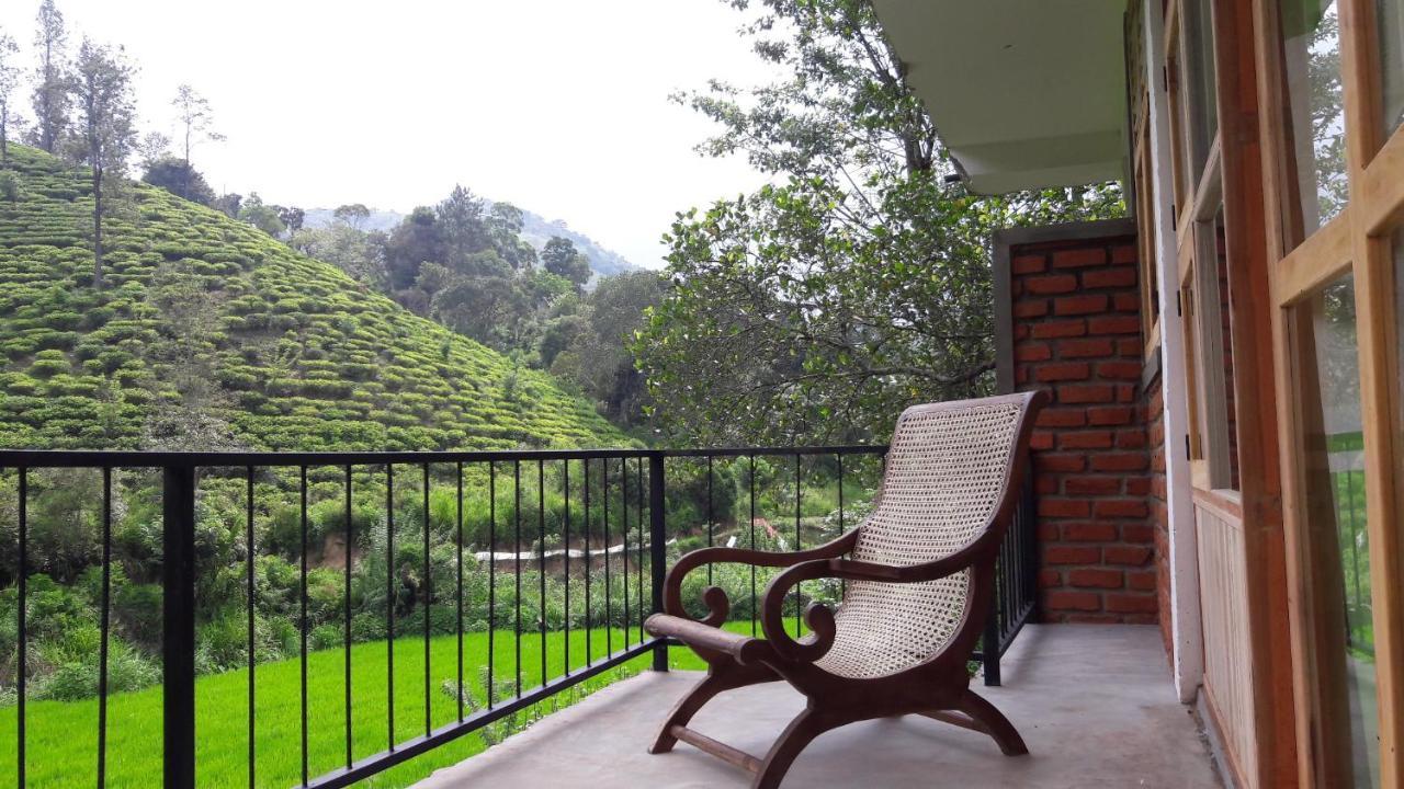 Ayubo - Lodge Ella