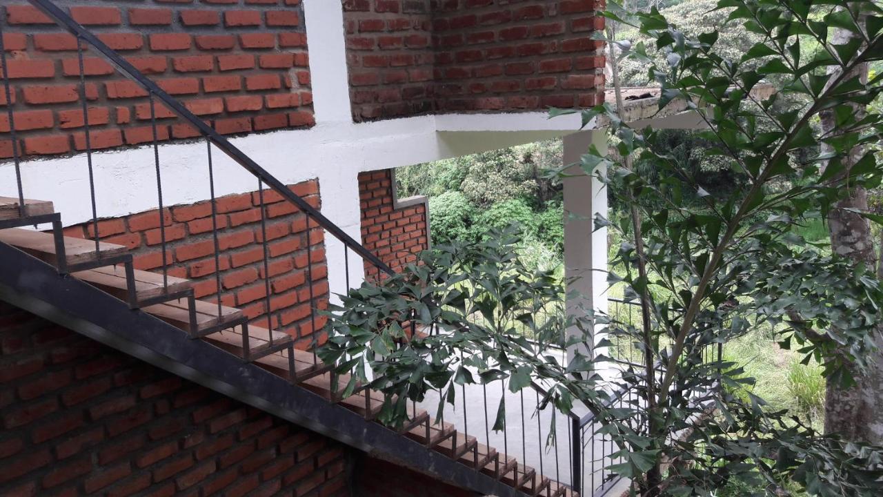 Ayubo - Lodge