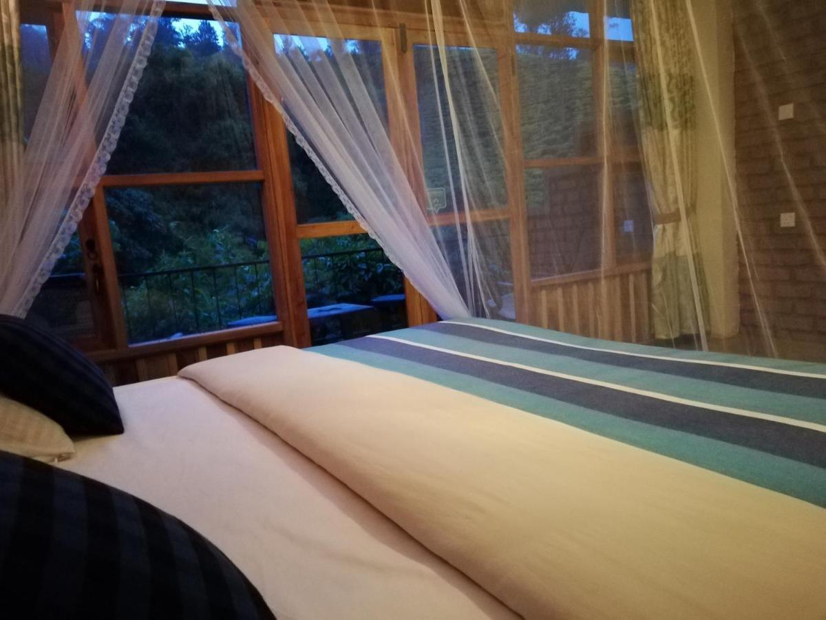 Ayubo - Lodge Ella