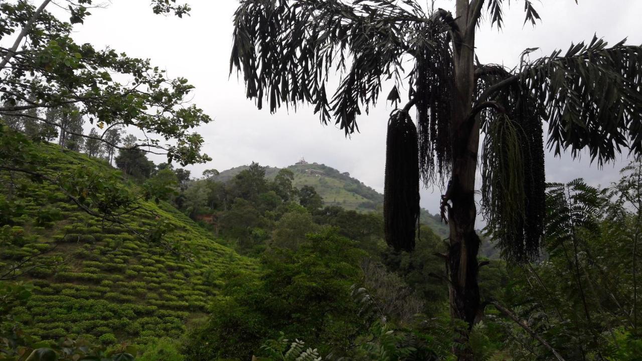 Ayubo - Lodge