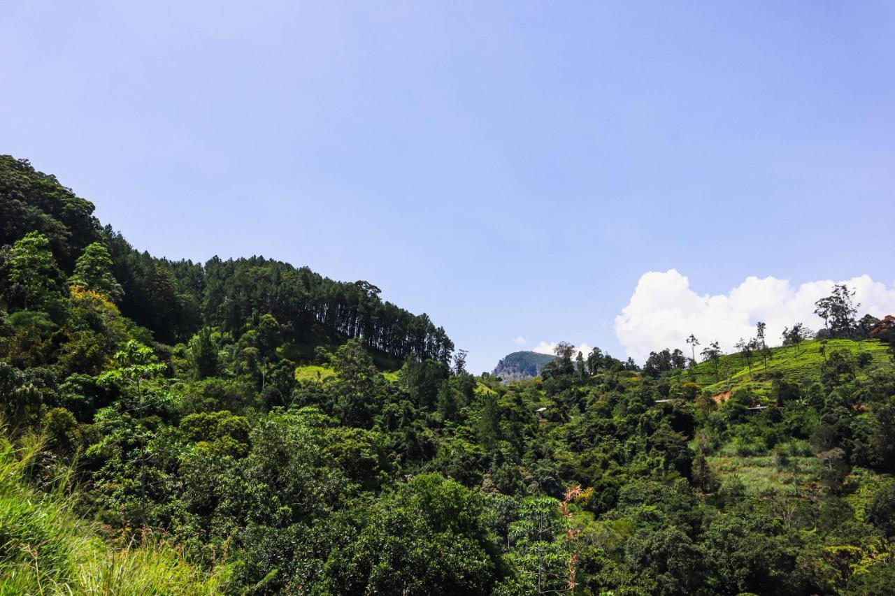 Homestay Nature Walk *