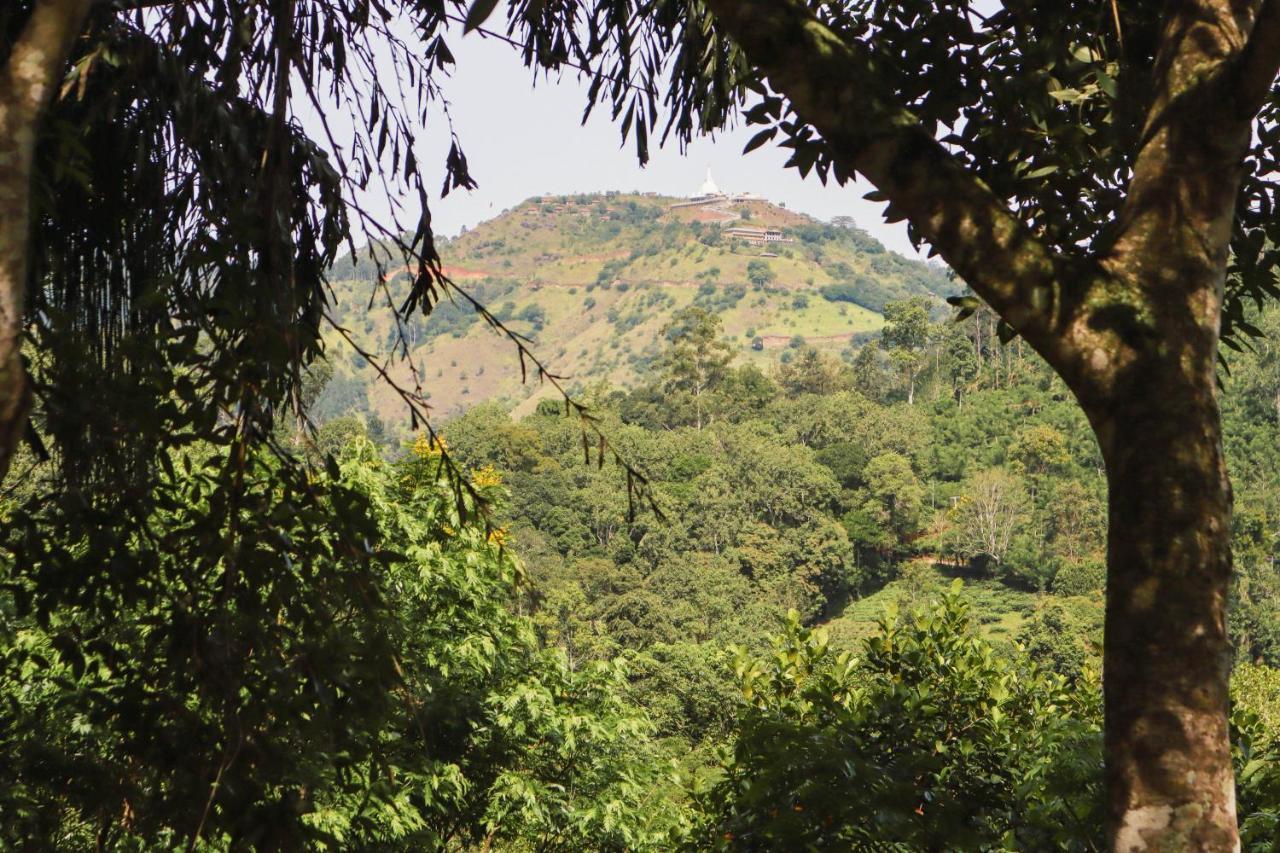 Nature Walk Homestay *