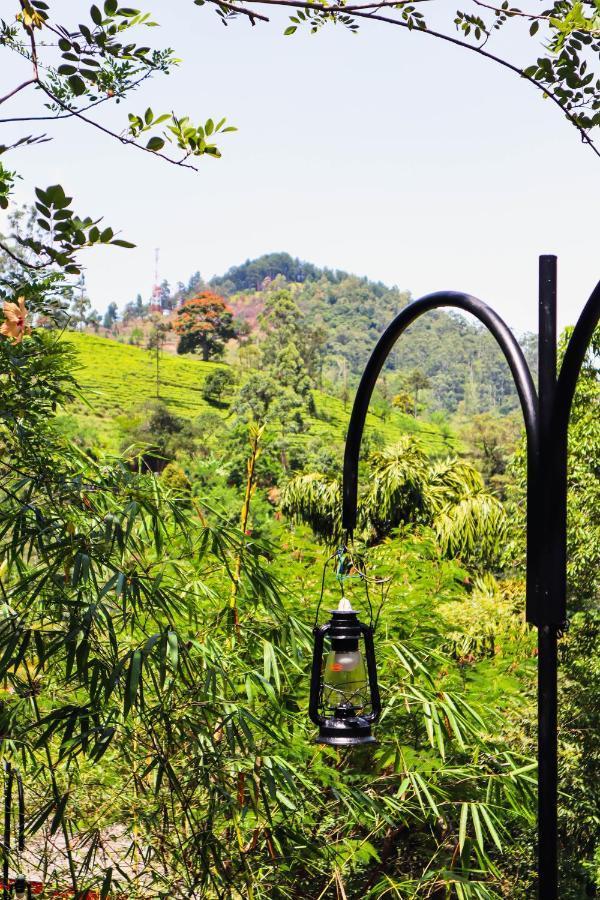 Nature Walk Homestay *