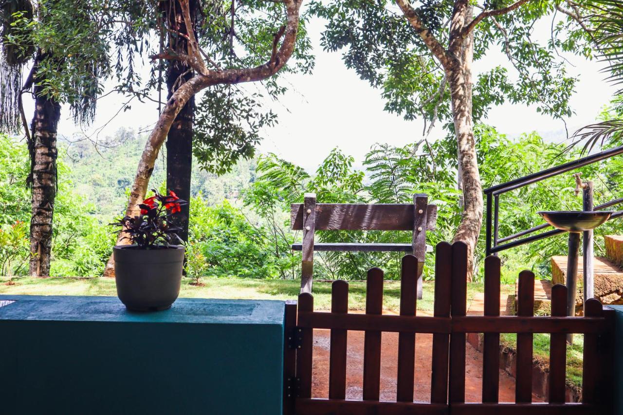 Homestay Nature Walk