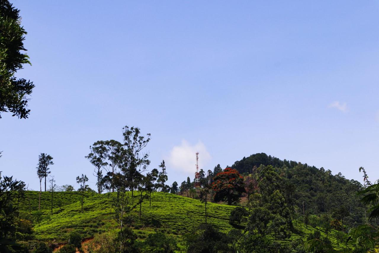 Nature Walk Homestay Ella