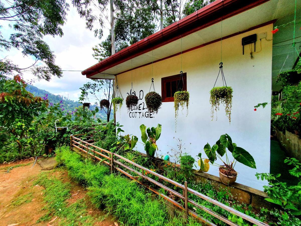 Lodge 