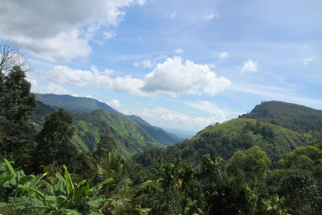 Nature View Guest house