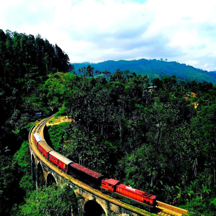 Nature Paradise