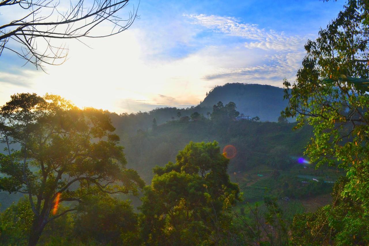 Rainbow Sky Homestay *