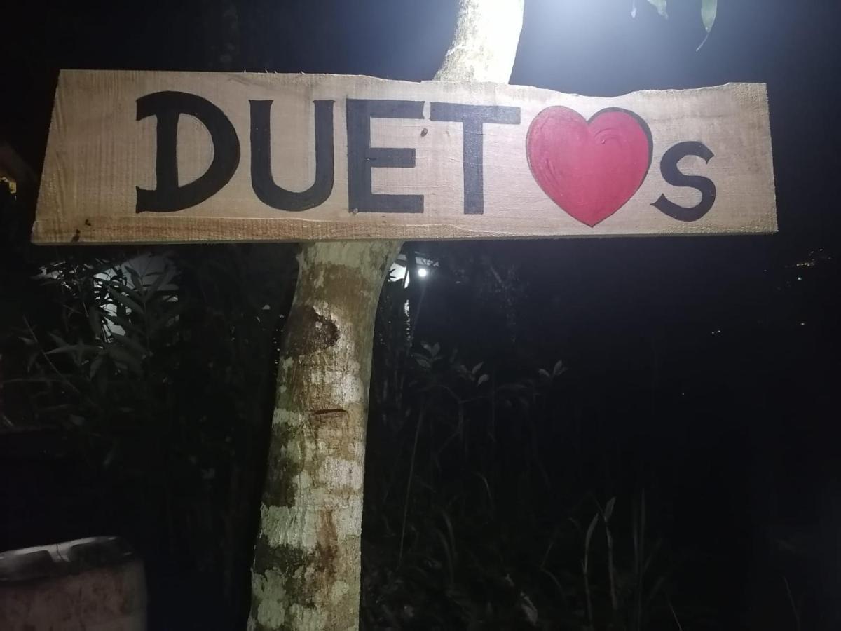 Duet Hearts Bed & Breakfast