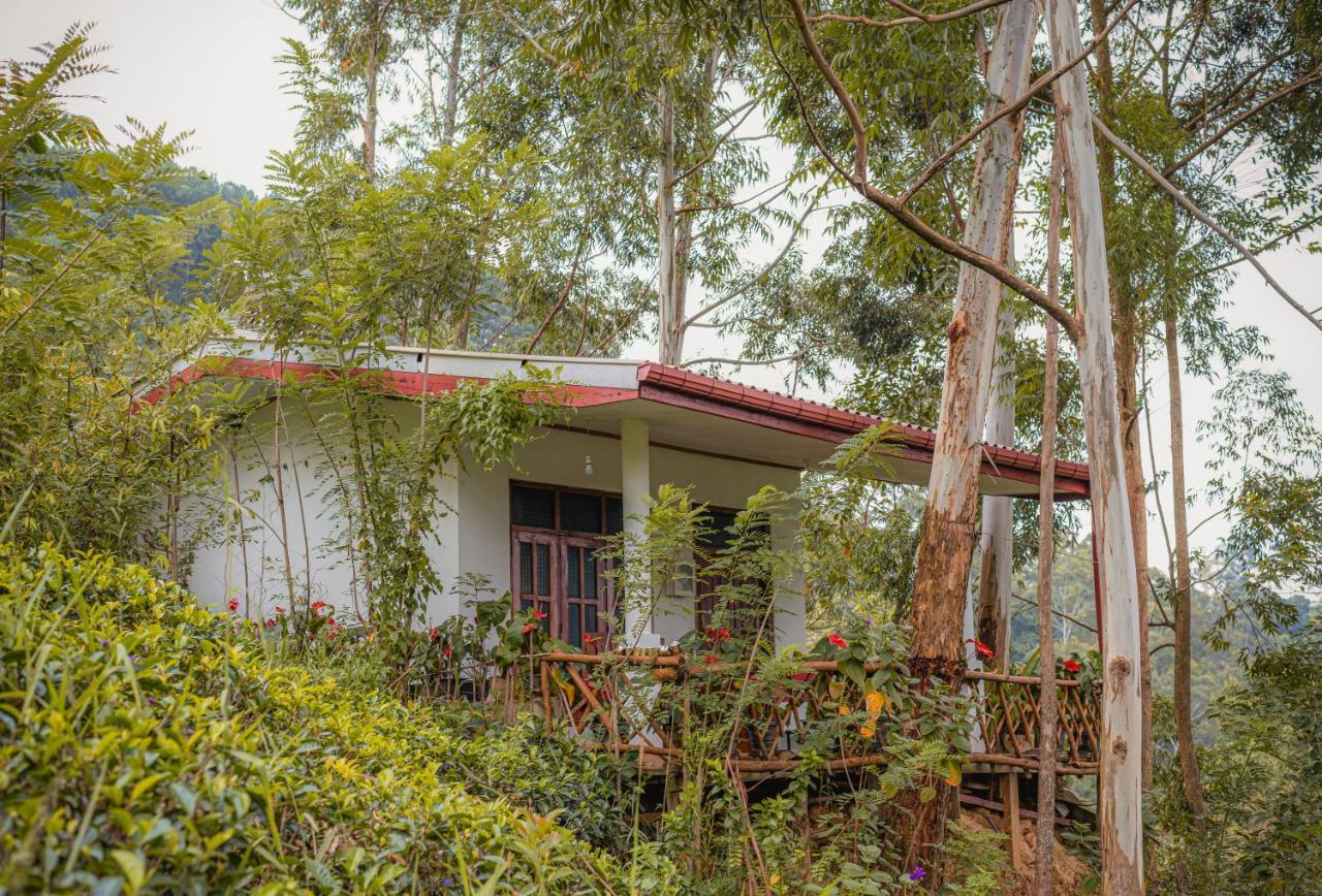 Lodge 