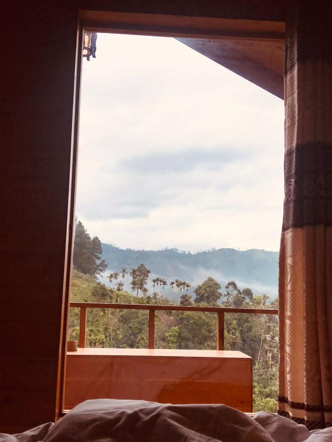 Nature Paradise Hotel 3*