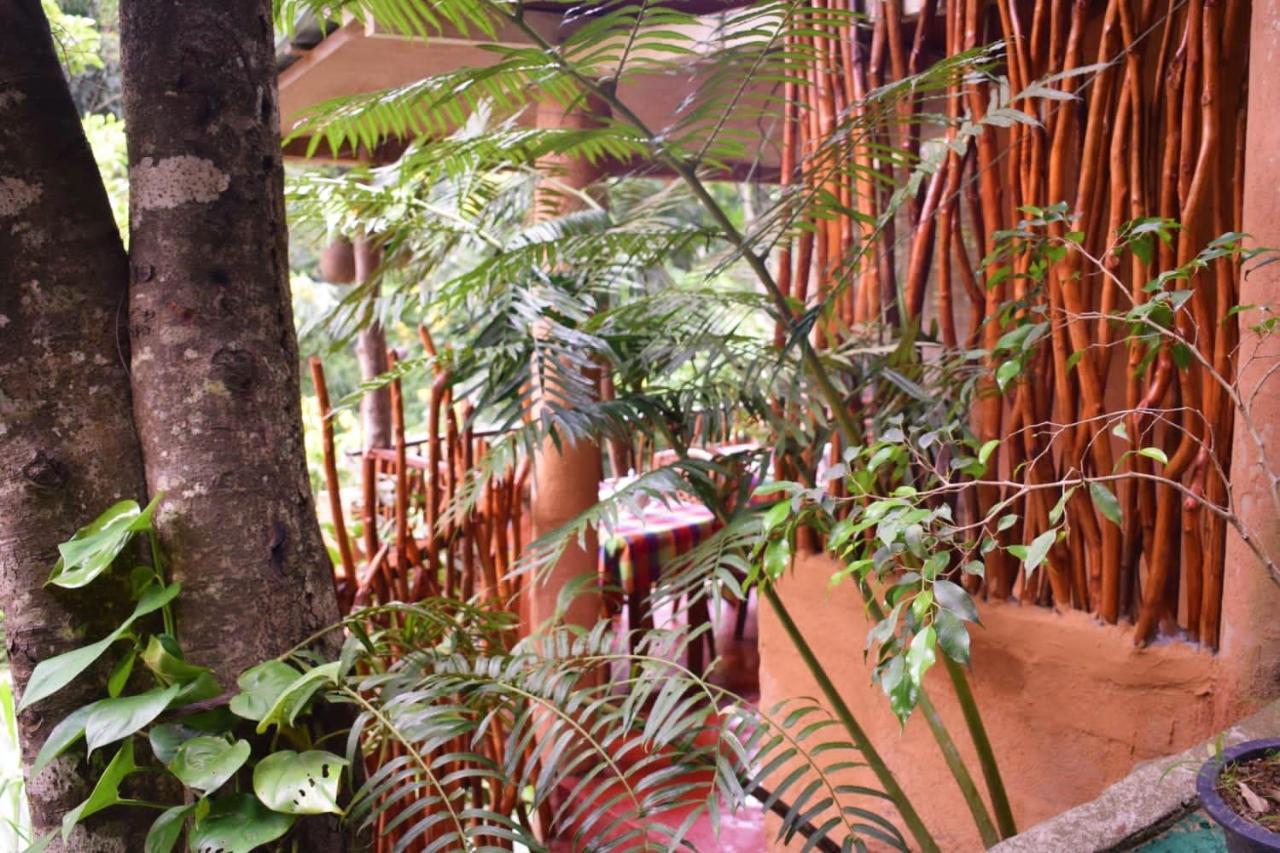 Ella Green Cottages Guest house 3*